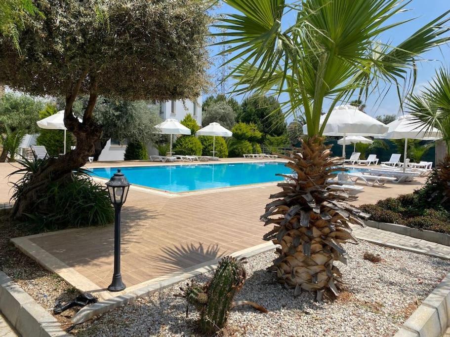 Girne/Zeytinlik 2+1 Muhtesem Terasli Daire Kültér fotó